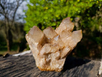 Natural Phantom Smokey Quartz Clusters x 2 From Luena, Congo