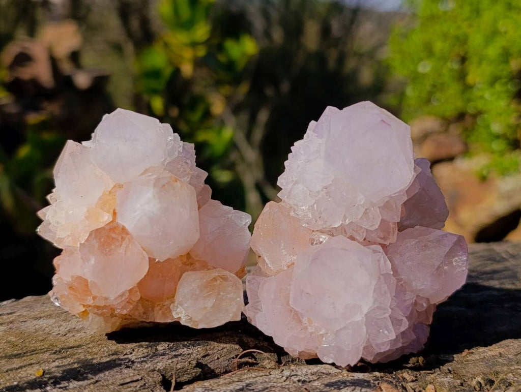 Natural Amethyst Spirit Quartz Clusters x 6 From South Africa - Toprock Gemstones and Minerals 