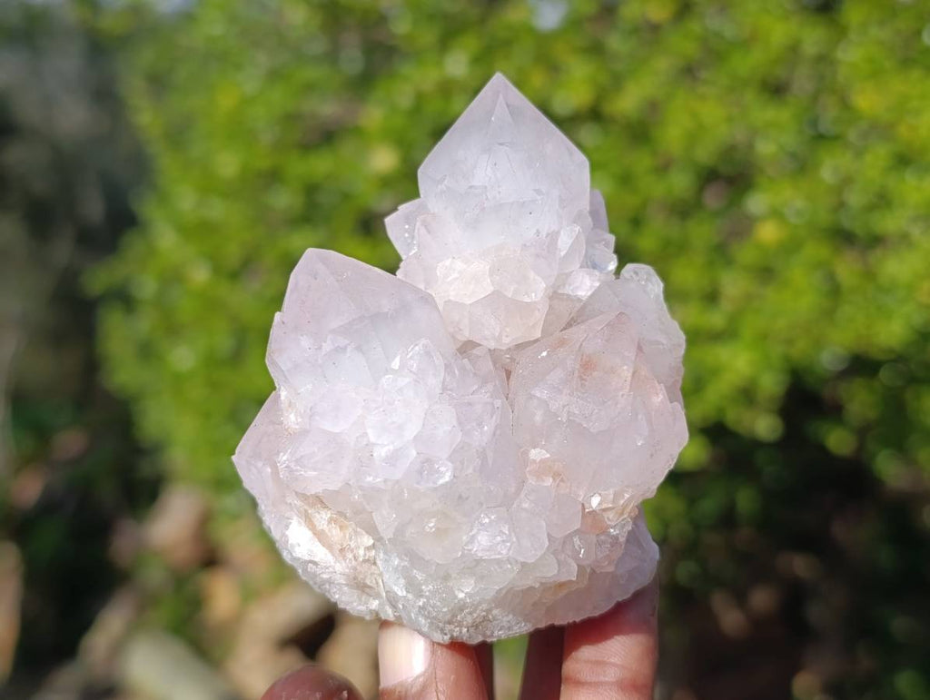 Natural Amethyst Spirit Quartz Clusters x 6 From South Africa - Toprock Gemstones and Minerals 