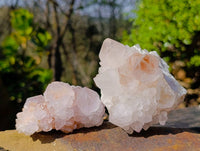 Natural Amethyst Spirit Quartz Clusters x 6 From South Africa