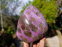 Polished Stichtite Standing Free Forms x 2 From Barberton, South Africa