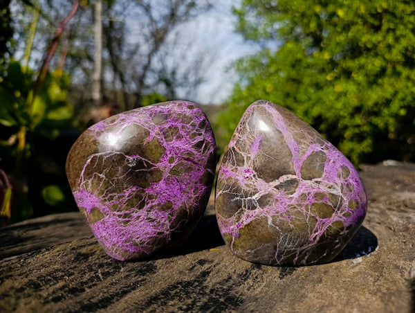 Polished Stichtite Standing Free Forms x 2 From Barberton, South Africa