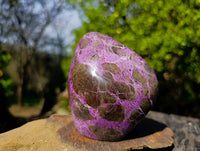 Polished Stichtite Standing Free Forms x 2 From Barberton, South Africa