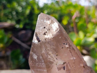 Natural Smokey Quartz Crystal Specimen x 1 From Mulanje, Malawi