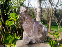Natural Smokey Quartz Crystal Specimen x 1 From Mulanje, Malawi