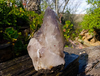 Natural Smokey Quartz Crystal Specimen x 1 From Mulanje, Malawi