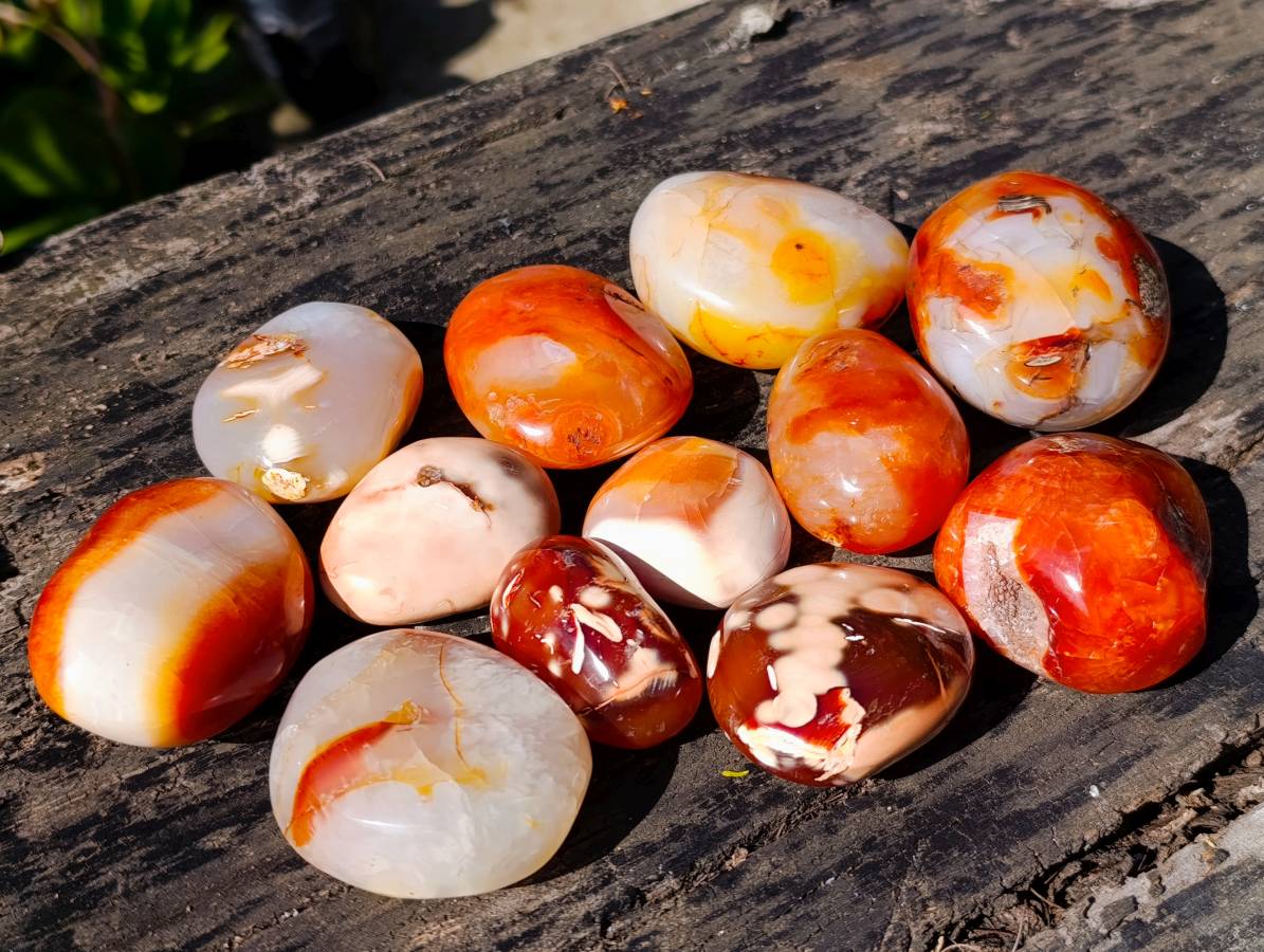 Polished Carnelian Agate Palm Stones x 12 From Madagascar - Toprock Gemstones and Minerals 