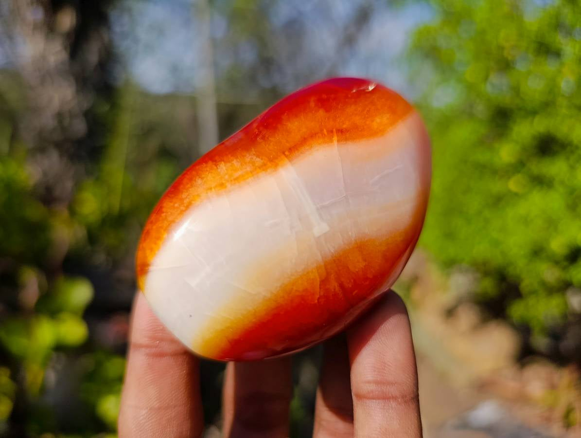 Polished Carnelian Agate Palm Stones x 12 From Madagascar - Toprock Gemstones and Minerals 