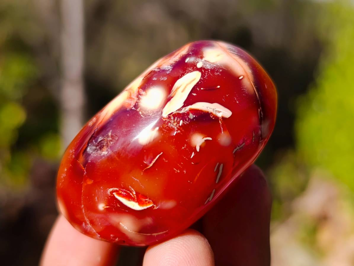 Polished Carnelian Agate Palm Stones x 12 From Madagascar - Toprock Gemstones and Minerals 