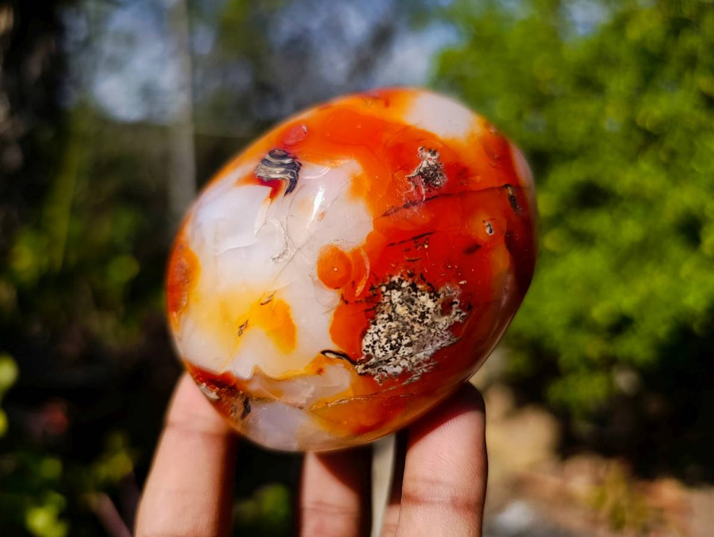 Polished Carnelian Agate Palm Stones x 12 From Madagascar - Toprock Gemstones and Minerals 