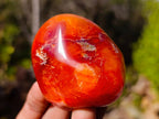 Polished Carnelian Agate Palm Stones x 12 From Madagascar - Toprock Gemstones and Minerals 