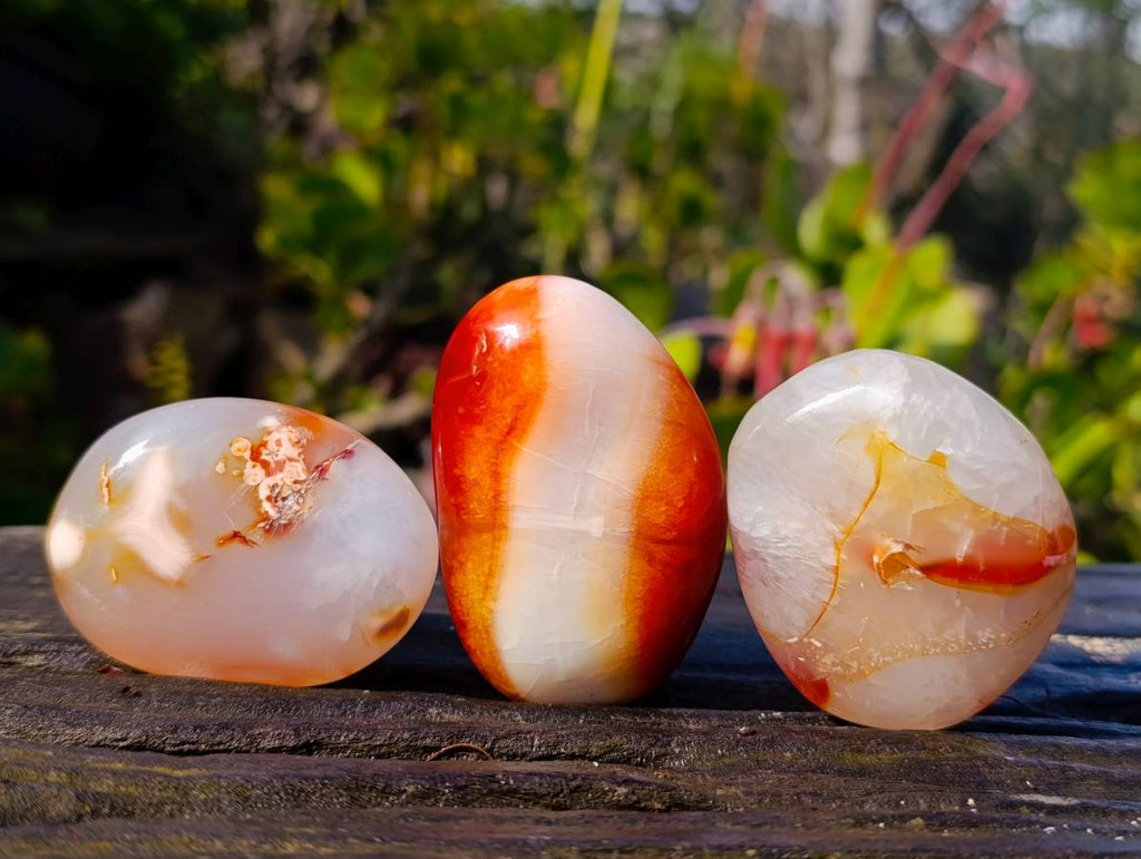 Polished Carnelian Agate Palm Stones x 12 From Madagascar - Toprock Gemstones and Minerals 