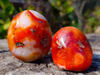 Polished Carnelian Agate Palm Stones x 12 From Madagascar - Toprock Gemstones and Minerals 