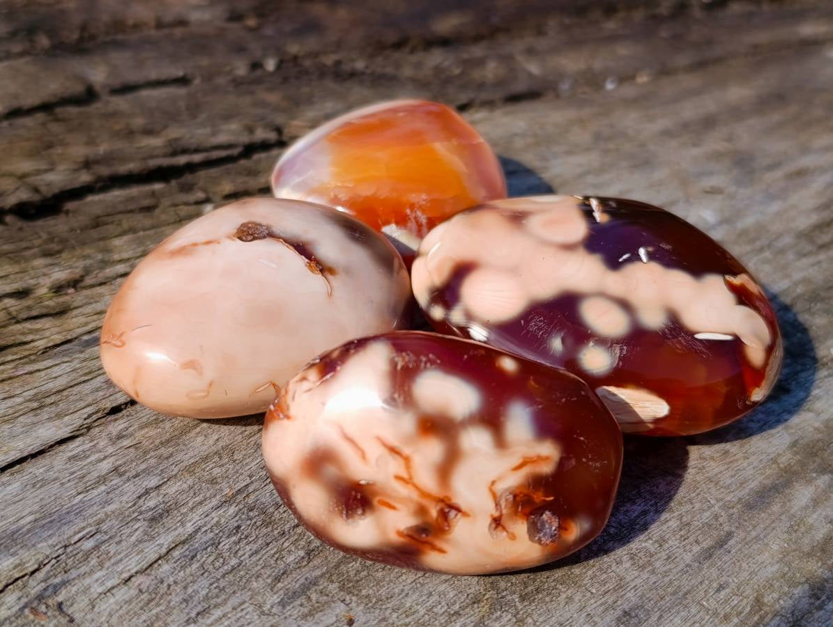 Polished Carnelian Agate Palm Stones x 12 From Madagascar - Toprock Gemstones and Minerals 