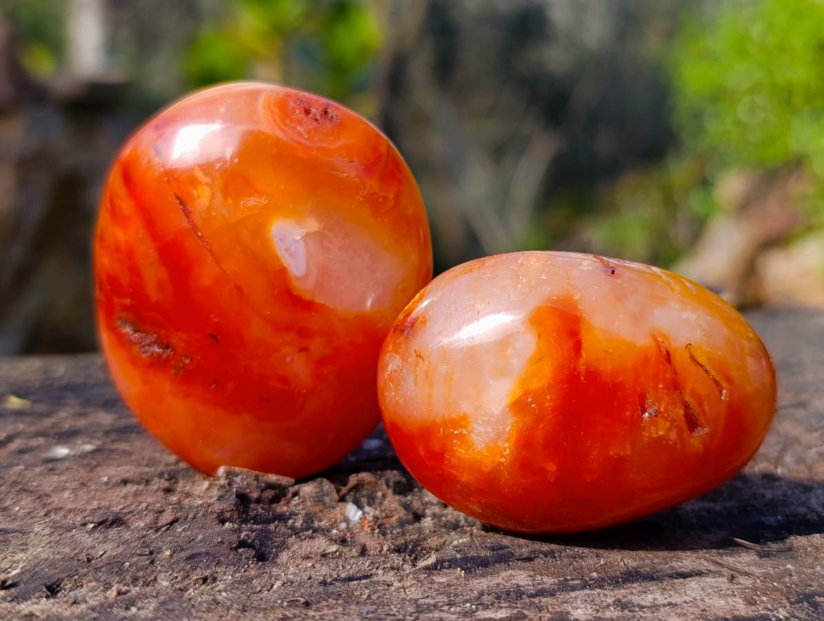 Polished Carnelian Agate Palm Stones x 12 From Madagascar - Toprock Gemstones and Minerals 