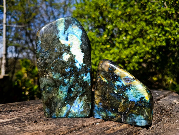 Polished Labradorite Standing Free Forms x 2 From Tulear, Madagascar
