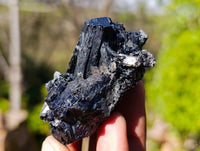 Natural Schorl Black Tourmaline Specimens x 12 From Namibia