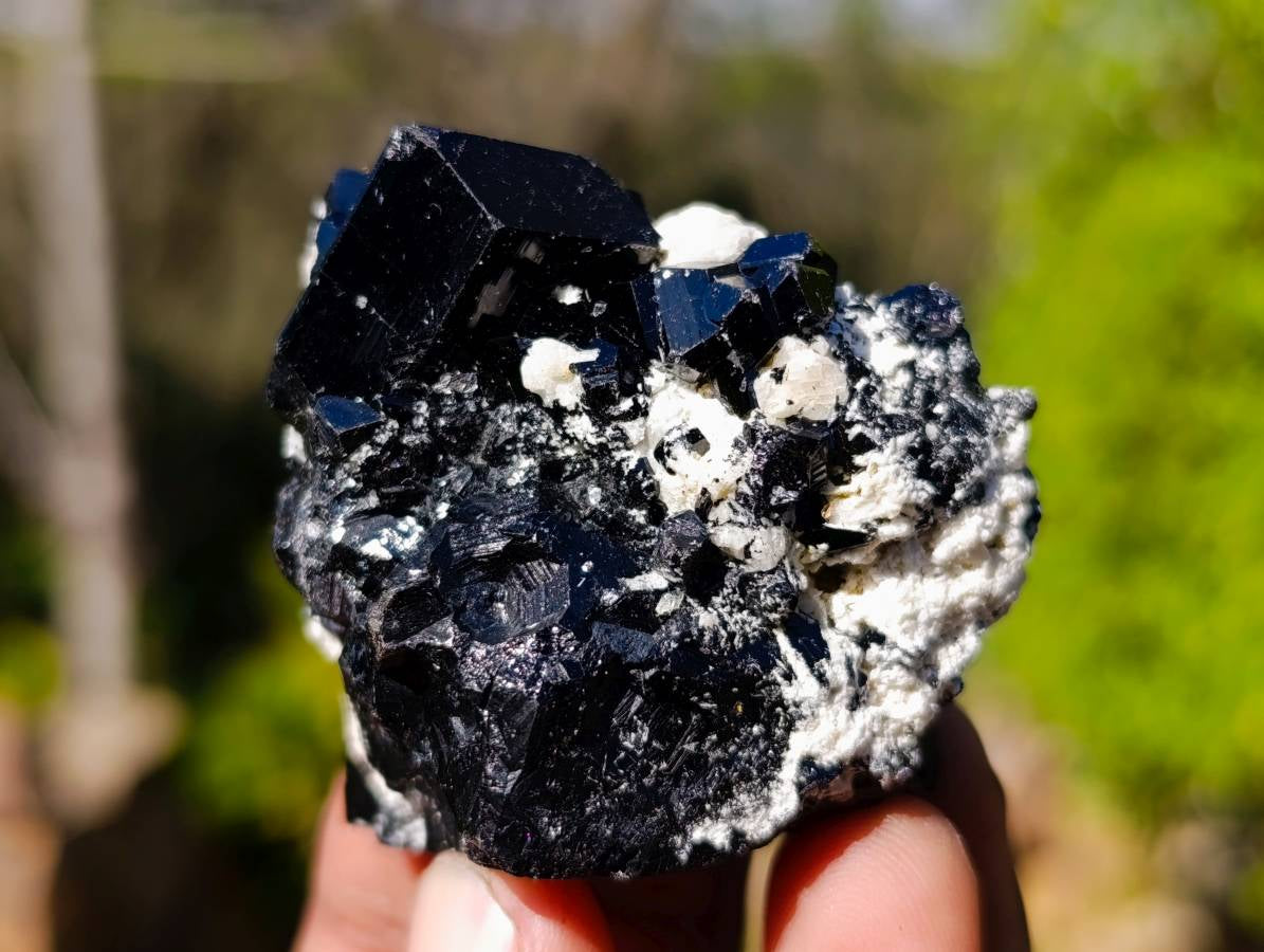 Natural Schorl Black Tourmaline Specimens x 12 From Namibia - Toprock Gemstones and Minerals 