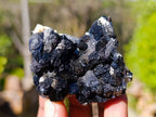 Natural Schorl Black Tourmaline Specimens x 12 From Namibia - Toprock Gemstones and Minerals 