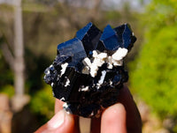 Natural Schorl Black Tourmaline Specimens x 12 From Namibia