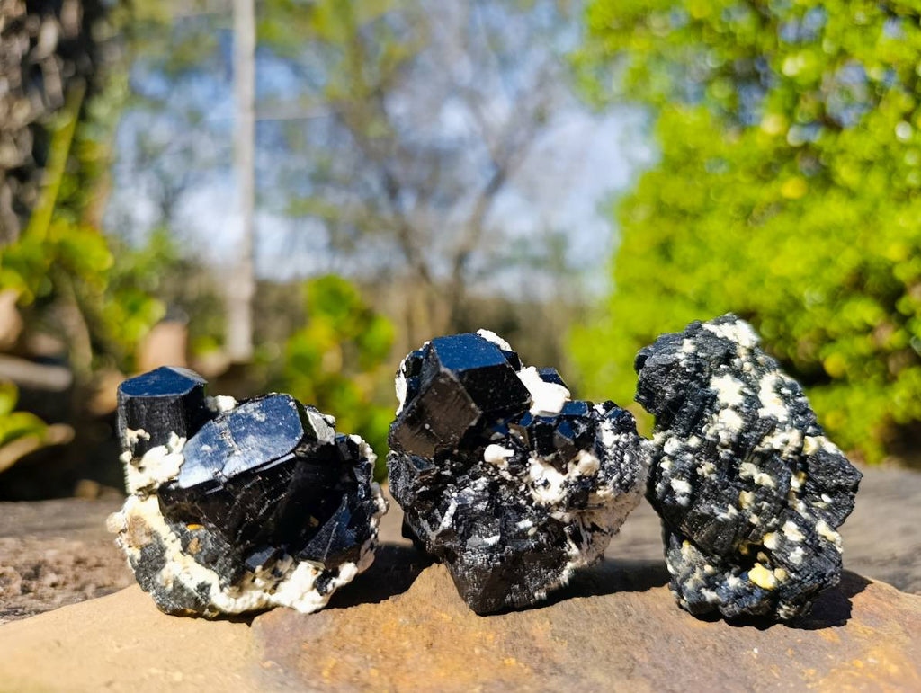 Natural Schorl Black Tourmaline Specimens x 12 From Namibia - Toprock Gemstones and Minerals 