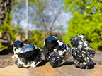 Natural Schorl Black Tourmaline Specimens x 12 From Namibia - Toprock Gemstones and Minerals 