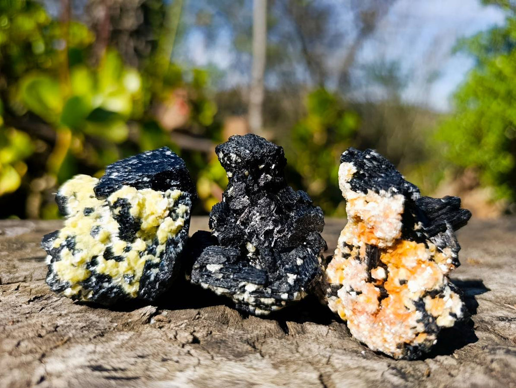 Natural Schorl Black Tourmaline Specimens x 12 From Namibia - Toprock Gemstones and Minerals 