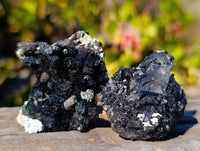 Natural Schorl Black Tourmaline Specimens x 12 From Namibia