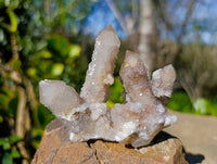 Natural Mixed Spirit Quartz Crystals x 35 From South Africa