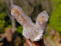 Natural Mixed Spirit Quartz Crystals x 35 From South Africa