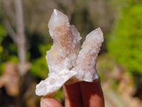 Natural Mixed Spirit Quartz Crystals x 35 From South Africa