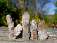 Natural Mixed Spirit Quartz Crystals x 35 From South Africa