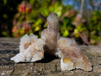 Natural Mixed Spirit Quartz Crystals x 35 From South Africa