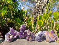 Natural Dark Amethyst Clusters x 6 From Mapatizya, Zambia