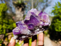 Natural Dark Amethyst Clusters x 6 From Mapatizya, Zambia