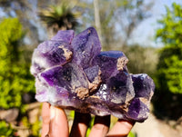 Natural Dark Amethyst Clusters x 6 From Mapatizya, Zambia