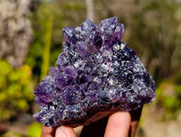 Natural Dark Amethyst Clusters x 6 From Mapatizya, Zambia