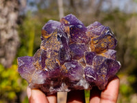 Natural Dark Amethyst Clusters x 6 From Mapatizya, Zambia