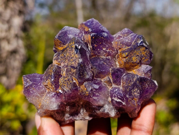 Natural Dark Amethyst Clusters x 6 From Mapatizya, Zambia