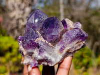 Natural Dark Amethyst Clusters x 6 From Mapatizya, Zambia
