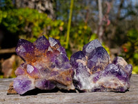 Natural Dark Amethyst Clusters x 6 From Mapatizya, Zambia