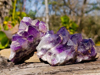 Natural Dark Amethyst Clusters x 6 From Mapatizya, Zambia