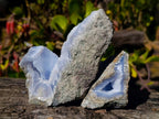 Natural Blue Lace Agate Geode Specimens x 6 From Malawi - Toprock Gemstones and Minerals 