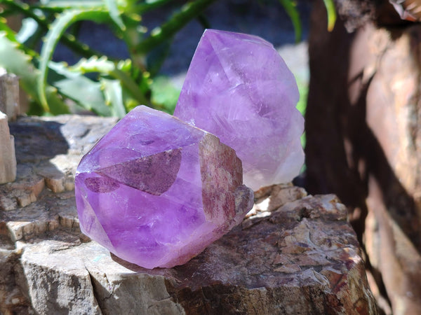 Polished Jacaranda Amethyst Quartz Crystals x 9 From Mumbwa, Zambia - Toprock Gemstones and Minerals 