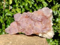 Natural Amethyst Spirit Quartz Clusters x 2 From Boekenhouthoek, South Africa