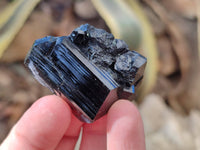 Natural Schorl Black Tourmaline Specimens x 20 From Namibia