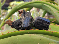 Natural Schorl Black Tourmaline Specimens x 20 From Namibia