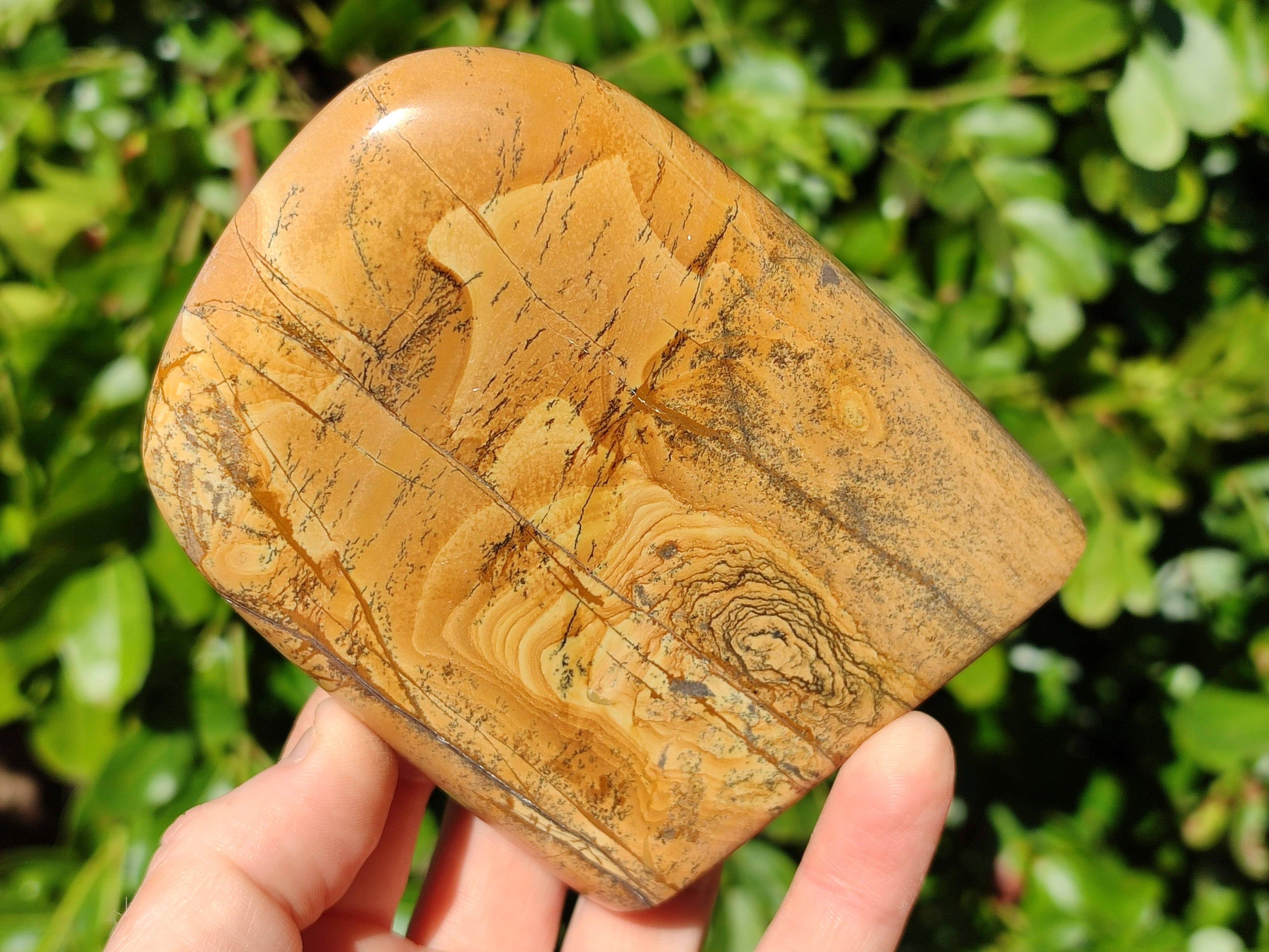 Polished Picture Stone Jasper Standing Free Forms x 3 From Ais-Ais, Namibia - Toprock Gemstones and Minerals 