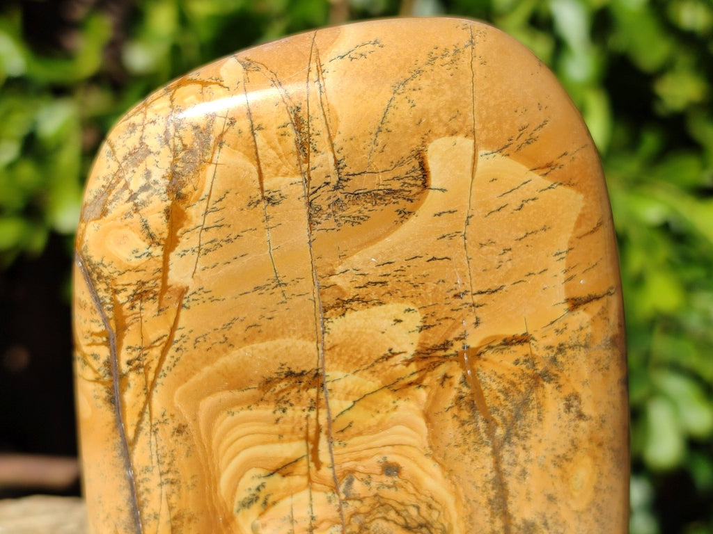 Polished Picture Stone Jasper Standing Free Forms x 3 From Ais-Ais, Namibia - Toprock Gemstones and Minerals 