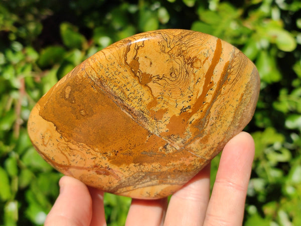 Polished Picture Stone Jasper Standing Free Forms x 3 From Ais-Ais, Namibia
